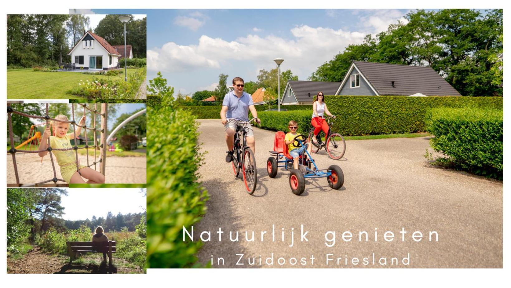 Vakantiepark Bosmeer Friesland Noordwolde  Room photo